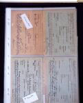 1940 Cartes Interzones: Présentation 104 cartes familiales