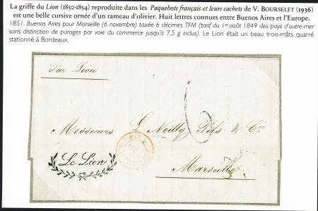 Griffe "Le Lion", cursive ornée d'un rameau d'olivier,