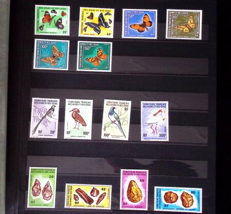 1970-1980, Début de collection de timbres neufs des