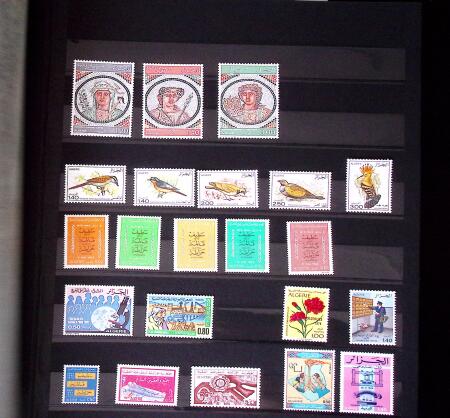 1970-1980, Début de collection de timbres neufs des