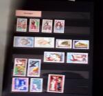 1970-1980, Début de collection de timbres neufs des