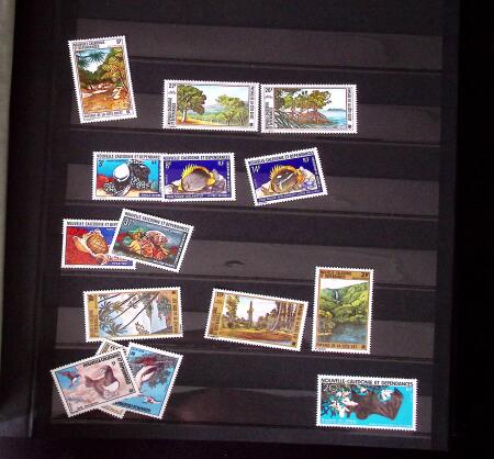 1970-1980, Début de collection de timbres neufs des