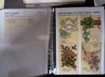 1761-1965, Collection de lettres sur la DROME montées