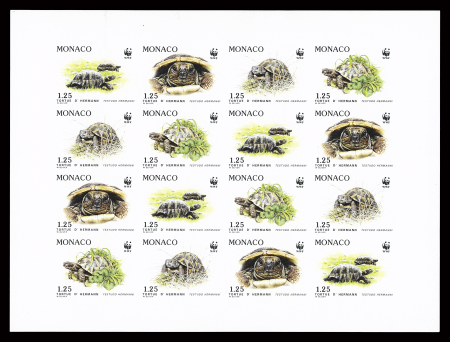 N°1805-1808 tortues Feuillet de 4 blocs de 4 non-dentelé