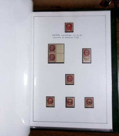 1941-44, Collection spécialisée sur Pétain en six