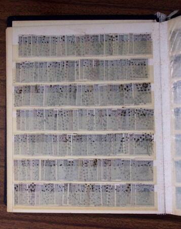 1850-1900, Mint and used stock with many hundreds of