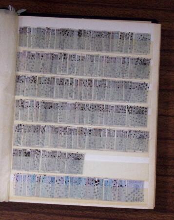 1850-1900, Mint and used stock with many hundreds of