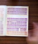 1929-80, Many hundreds of pre-cancels in two stockbooks