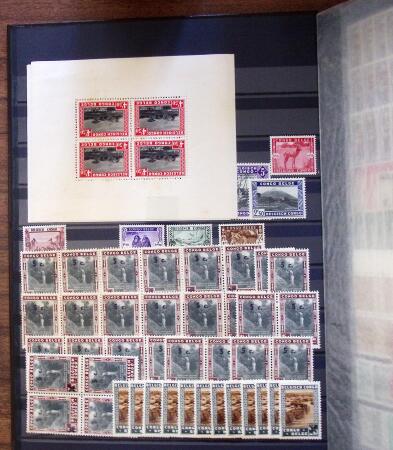 1880-1960, Belgian Congo mint and used selection in