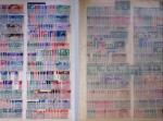 1852-1970, Mint and used selection of Italy in two stockbooks,