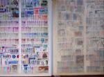 1852-1970, Mint and used selection of Italy in two stockbooks,