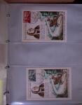 1938-2000, Collection spécialisée sur la journée