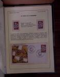 1938-2000, Collection spécialisée sur la journée