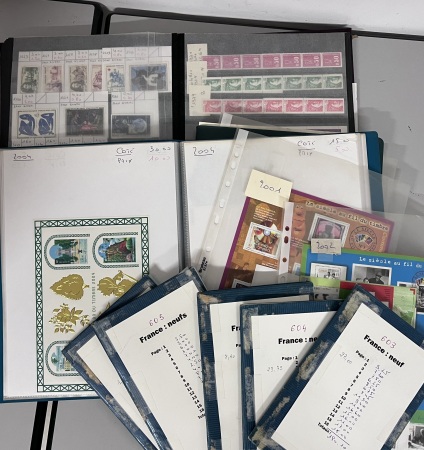 1960-2006, petit lot de faciale avec carnets et blocs