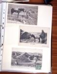 1900-1950, Joli lot de cartes postales des anciennes