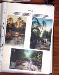 1900-1950, Joli lot de cartes postales des anciennes
