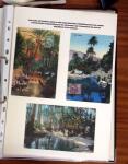 1900-1950, Joli lot de cartes postales des anciennes