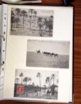 1900-1950, Joli lot de cartes postales des anciennes