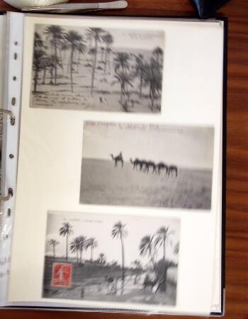 1900-1950, Joli lot de cartes postales des anciennes