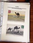 1900-1950, Joli lot de cartes postales des anciennes