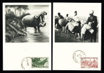 AOF : 15 cartes maximum Ionyl OBL Dakar Philatélie (1952). TB