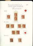 1914-2000, Collection Croix-Rouge en 3 classeurs, ave