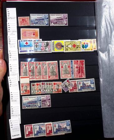 1920-1980, 2 Albums de timbres Croix-Rouge, avec colonies