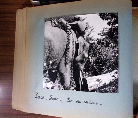1953-1954, Deux magnifiques albums à la reliure en