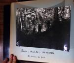 1953-1954, Deux magnifiques albums à la reliure en