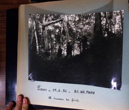 1953-1954, Deux magnifiques albums à la reliure en