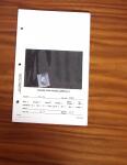 1852-1970, Small dealer's stock on cards plus stockbook