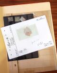Ancien stock marchand avec surtout millésimes, carnets,