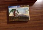 ca1900-60, Lot of Several hundreds of covers and cards