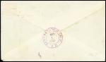 Lettre avec EMA OBL mec "Auckland NZ" (11.8.1930) sur lettre naufragée avec griffe violette "Salvaged from SS Tahiti lost at Sea". RR et TB