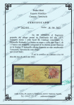 1875 Coat of Arms with type 1 overprint: