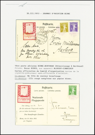 1913 (30. März) Flugtag Bern, zwei offiz. Karten mit