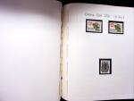 GRENZTRUPPEN: Reichhaltige Partie in Leuchturm Album,
