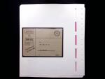 1939-45, Timbres militaires : SAPEURS : Lot monté sur 38 pages,