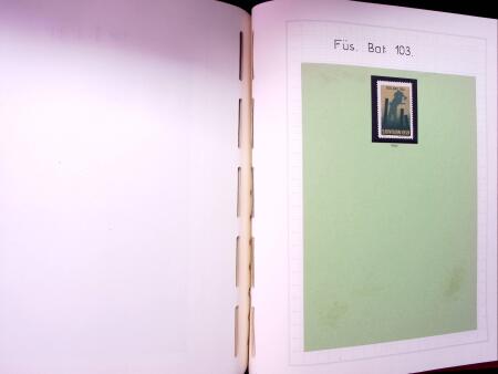 INFANTERIE : Reichhaltige Partie in 2 Leuchturm Alben,