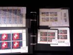1939-45, Sehr reichhaltiges Lager in 8 Steckbüchern,