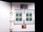 1939-45, Gut Ausgebaute Sammlung Schweiz in 9 Alben