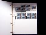 1939-45, Gut Ausgebaute Sammlung Schweiz in 9 Alben