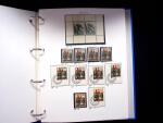 1939-45, Gut Ausgebaute Sammlung Schweiz in 9 Alben