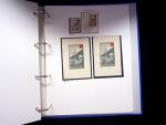 1939-45, Gut Ausgebaute Sammlung Schweiz in 9 Alben