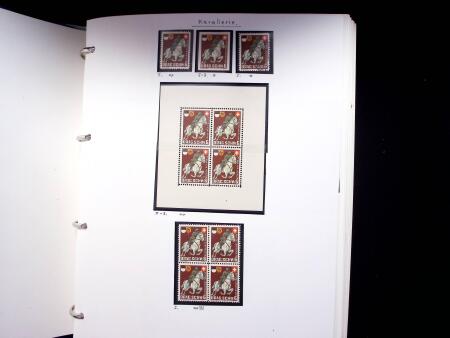 1939-45, Gut Ausgebaute Sammlung Schweiz in 9 Alben