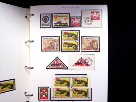 1939-45, Gut Ausgebaute Sammlung Schweiz in 9 Alben