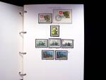 1939-45, Gut Ausgebaute Sammlung Schweiz in 9 Alben