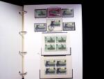 1939-45, Gut Ausgebaute Sammlung Schweiz in 9 Alben