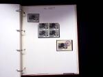1939-45, Gut Ausgebaute Sammlung Schweiz in 9 Alben
