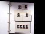 1939-45, Gut Ausgebaute Sammlung Schweiz in 9 Alben